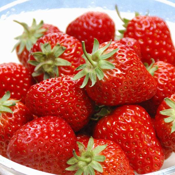 草莓一